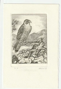 ANDRIJ WOZNYJ: Kleingraphik, Falken - Picture 1 of 1