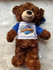 Build a Bear Brooklyn Cyclones - Maimonides Kinderkrankenhaus gebraucht mit Etikett - Bild 1 von 6