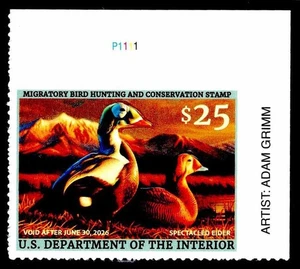 RW92 **PNS** SELLO FEDERAL DE PATO DE 2024 - OGNH - XF - (ESP#4891) - Imagen 1 de 1