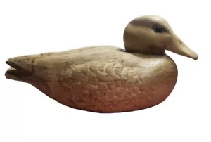 Blue Wing Teal Hen Wood Carving - Picture 1 of 7