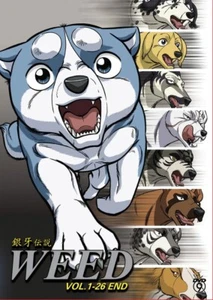 Anime DVD Ginga Densetsu Weed Complete TV Series Vol.1-26 End English Subtitle - Bild 1 von 5