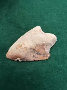Fine 2 1/2 Newnan Translucent coral Indian artifacts Putman Florida - Picture 1 of 2
