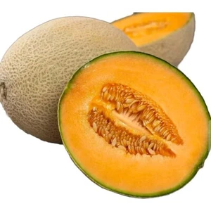 Cantaloupe Melon Garden Seeds -2 Packets @ 50 Seeds Total 100 Seeds Non-GMO - Picture 1 of 4