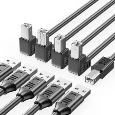 USB 2.0 Type A Male to B Male Scanner Cord High Speed 480Mbps Printer Cabl - Image 1 of 4