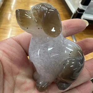 Natürliche Geode Achat handgeschnitzt Hund Quarz Schädel Kristall Reiki Heilung Geschenk 1 Stck. - Bild 1 von 13