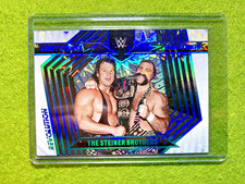The Steiner Brothers WWF 2023 WWE REVOLUTION SILVER PRIZM IMPACT # /199 WWE CARD