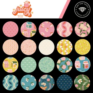 JUICY 4 MINI Charm Packs Moda QUILT Fabric Ruby Star Society Juice Box RS0085MC - Picture 1 of 24