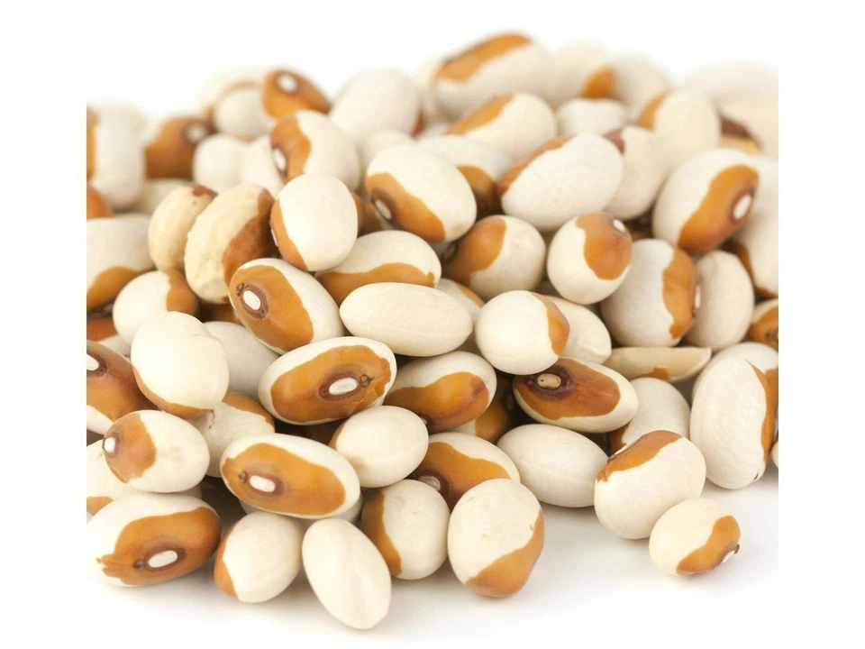 Yellow Eye Steuben Bean Beans 5 Pounds Free Shipping - Изображение 1 из 1
