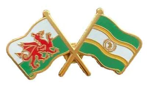 Wales & African Union Flags Friendship Courtesy Enamel Lapel Pin Badge T1100 - Picture 1 of 4