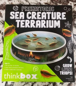 Prehistoric Sea Creature Terrarium Brand New Sealed - Picture 1 of 5