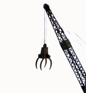 CLAW Krankralle zum Detaillieren Holzeinschlag oder Materialhandhabung Operationen Nenngröße H0 - Bild 1 von 1