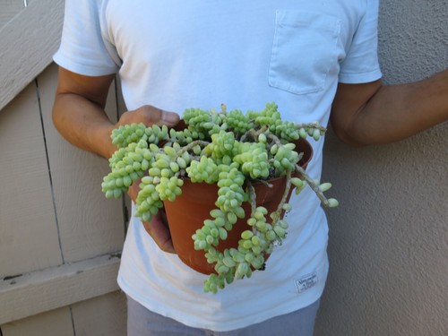 Picture 1 of 6