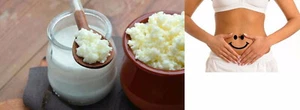 ✅ 25GR. KEFIR DI LATTE BIO ALTA QUALITÀ. LI RICEVI IN 48 ORE. NO METALLI - Foto 1 di 1