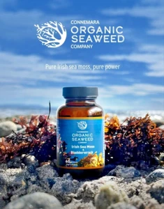 Connemara Organic Seaweed Irish Sea Moss and Bladderwrack 60 vegan Capsules - Picture 1 of 4