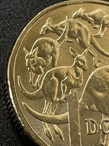 2024 $1 Missing Leg Error Almost Uncirculated Australian One Dollar Coin aUNC AU - Bild 1 von 3