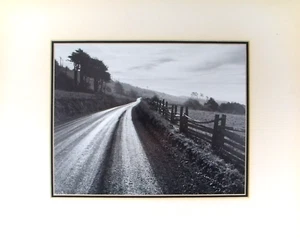 Impresión Ansel Adams - Camino después de la lluvia producido por Museum Graphics - Imagen 1 de 1