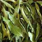 Mango Leaves. Dried  Quality 100% ORGANIC Herbal Natural Fresh Mango Leaf