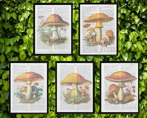 Mushroom Themed Dictionary Page Art Prints,Set 5 Cottagecore Style Vtg Book Page - Picture 1 of 6