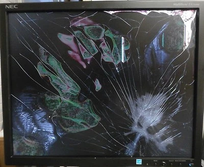 NEC MultiSync EA193Mi-BK - LED monitor - 19" - 1280 x 1024 - AH-IPS - EA193MI-BK - Image 1 of 2