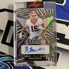 Brock Bowers 2022 LEAF EXOTIC FOOTBALL ZEBRA AUTOGRAPHED 6/7 GEORGIA BULLDOGS📈