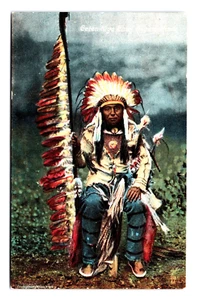 CETEN KIYA CHIEF FLYING HAWK POSTCARD (E-33) - Picture 1 of 2