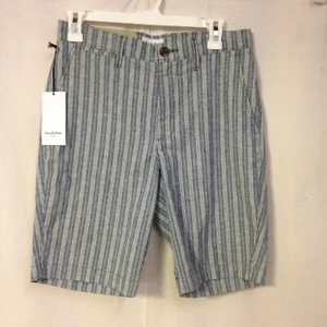 Goodfellow & Co Flat Front Linden Shorts Size 28 Chambray Stripe - Picture 1 of 3