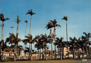 973 GUYANE GUIANA PLACE DES PALMISTES - Picture 1 of 2