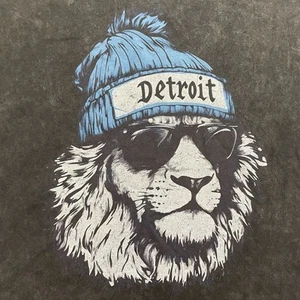 Dark Grey Comfort Colors Detroit Lion Acid Wash Tee, Large - Picture 1 of 4