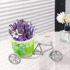 Bicycle, Artificial Flower Decoration, Plant Stand, Woven Flower Basket, Gift