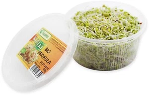 FRISCHE BIO-Brokkolisprossen (ca. 50 g) - Bild 1 von 1