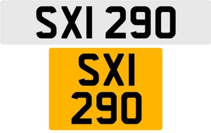 SXI 290 S 3x3 DATELESS PRIVATE NUMBER PLATE SAM SUE SAL SOF SEAN STU STEVE SIM - Picture 1 of 1