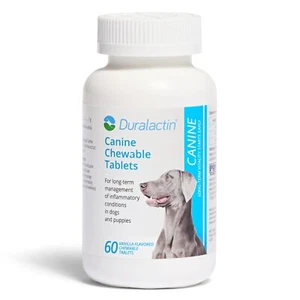 Veterinary Products Laboratories Duralactin Canine, 60 Chewable Tablets - Picture 1 of 7