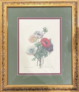 Anemone Simplex Botanical Print by Pierre-Joseph Redouté in Gold Leaf Frame - Picture 1 of 5