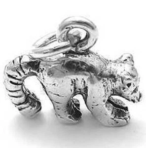 925 Sterling Silver 3D Raccoon Charm - Picture 1 of 1