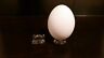 ~3 Small 7/8" Dimple Display Stand For Dove Quail and all small Eggs