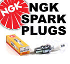 New NGK Spark Plug for YAMAHA  ATV / Quad YFA1 Breeze 04-->