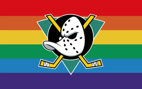 Anaheim Ducks Pride Flag 3x5ft Banner Polyester Ice Hockey Stanley Cup ducks036 Cover