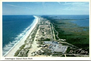 Assateague Island State Park Looking South - signed RC Pulling Postcard - Picture 1 of 2