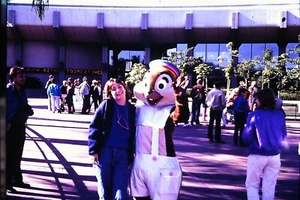 VINTAGE 35MM SLIDE #4 WALT DISNEY CHIP OR DALE? - Picture 1 of 1