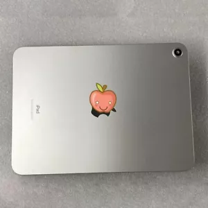 Silber Rückseite Abdeckung Akku Tür Gehäuse A2696 für iPad 10. 10,9 Zoll WiFi 2022 - Bild 1 von 4