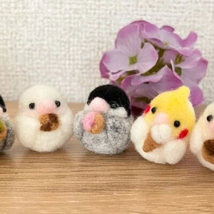 Juego de 3 correas para pájaros pequeñas de fieltro de lana hechas a mano en Japón - Imagen 1 de 11