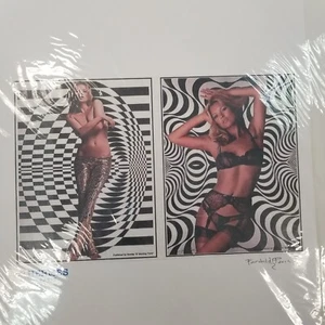 Kate Moss Hermes John Fairchild Print Diptychon 5/25 Signed Print on Cotton - NEU - Bild 1 von 3