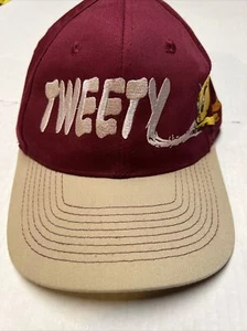 Gorra Looney Tunes Piolín Pájaro Hombre SnapBack Head Start Ropa Deportiva - Imagen 1 de 17