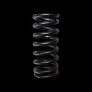 Brian Crower BC1089 BC replacement valve Springs - Picture 1 of 3