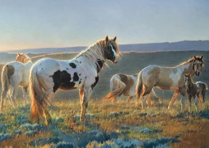 Welcome the Dawn de Nancy Glazier pintura caballo ecuestre 9x12 impresión artística - Imagen 1 de 2