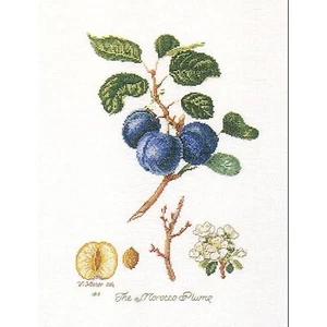 Cross-stitch kit Thea Gouverneur 2059A Morrocco Plum Aida - Picture 1 of 5