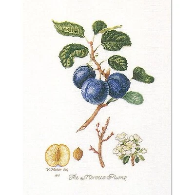 Kit punto de cruz Thea Gouverneur 2059A Marruecos Ciruela Aida Foto 1 de 4