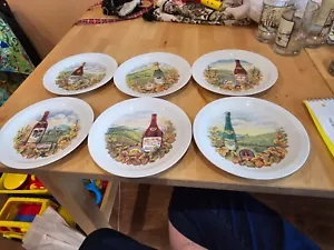 Set di 6 piatti vintage per formaggio e vino Bareuther Waldsassen motivo pranzo - Foto 1 di 8