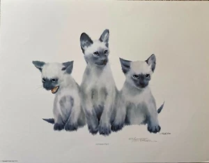 Simese Kittens by Frank Gee - Picture 1 of 2