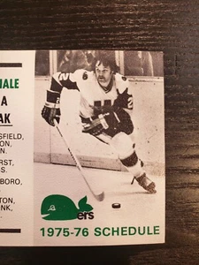 1975-76 New England Whalers WHA Calendario de Bolsillo Hockey - desplegado  - Imagen 1 de 4